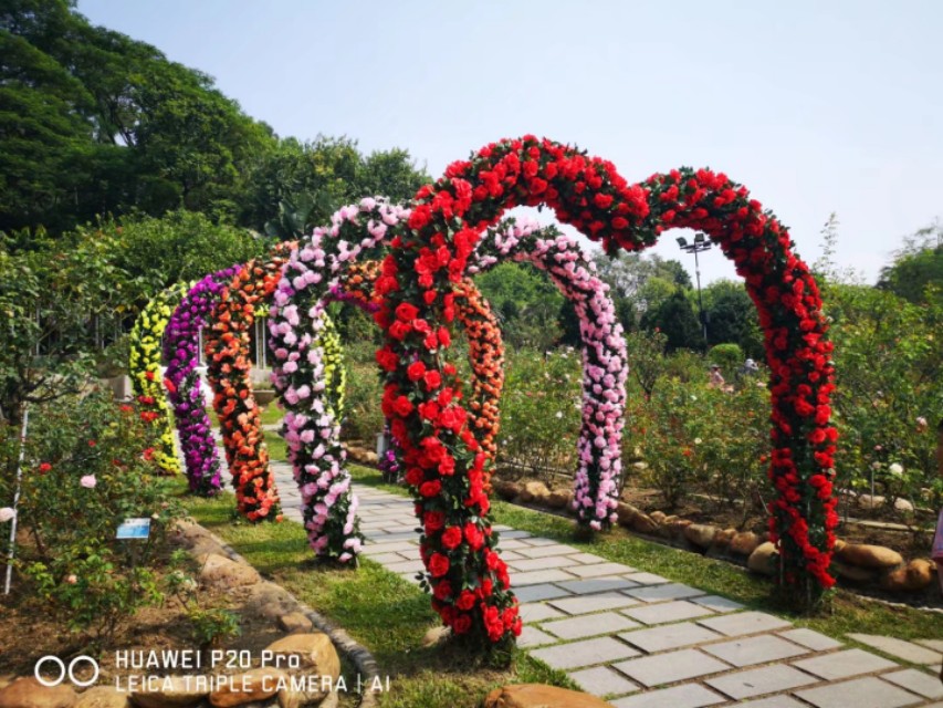 广州云台花园花展,广州云台花园咋样