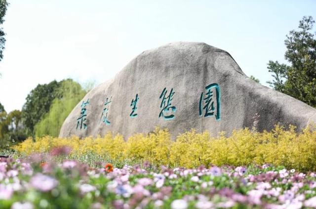 成成苏州,昆山哪个镇发展比较有潜力