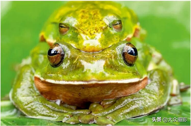 美丽之上,自然生态摄影介绍