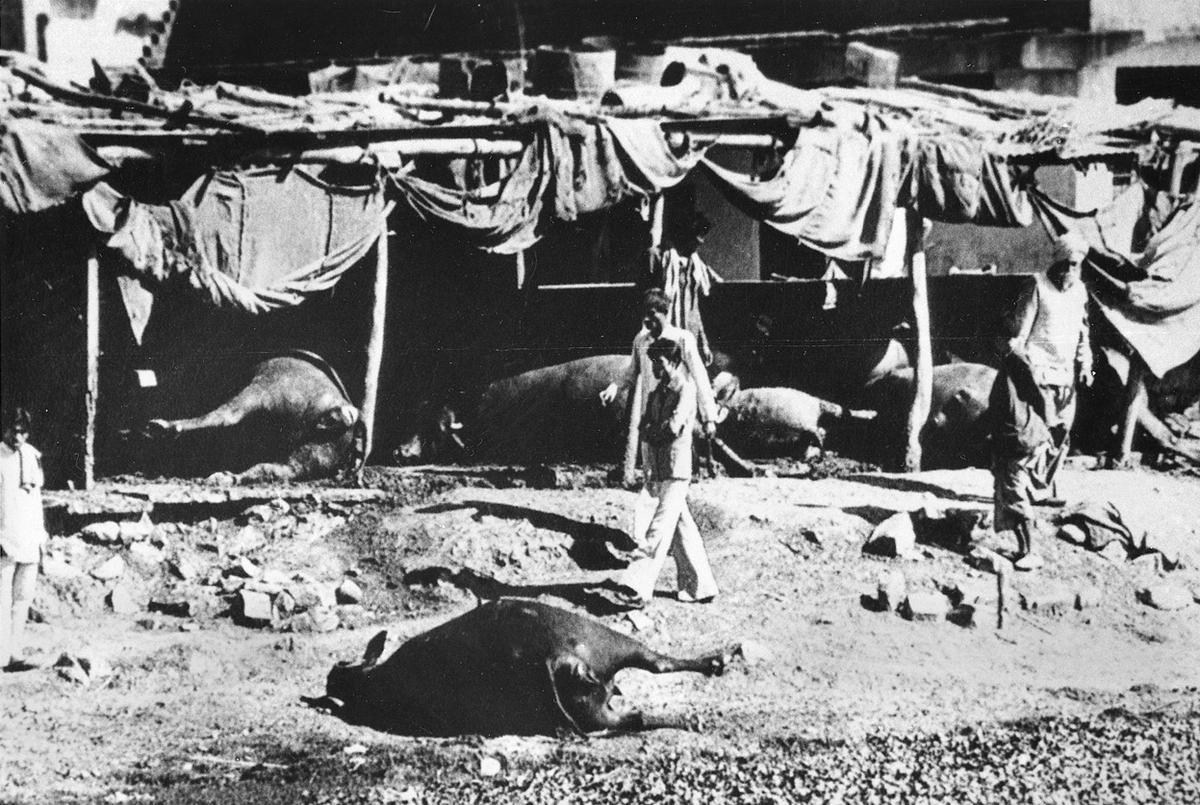 印度仿制药美国可以管制吗,印度仿制药为啥比中国厉害