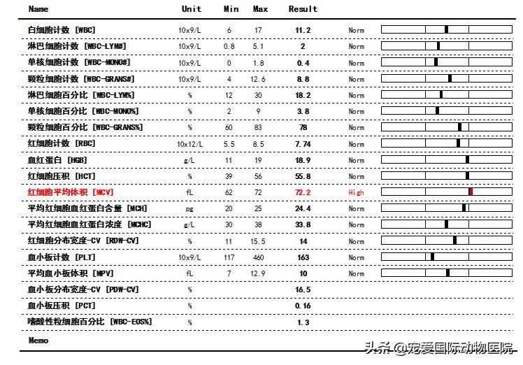 猫传腹治好了还会传染给其他猫吗,猫传腹打441见效后会一直变好吗
