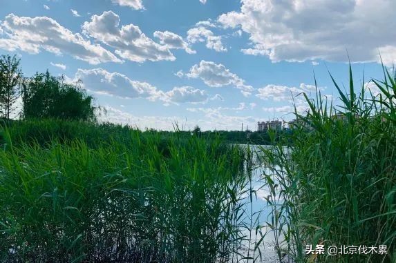 芒种旅游景点推荐,芒种至仲夏节气