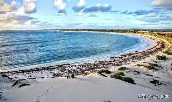 澳洲游学满载而归,澳洲亲子游学日程安排