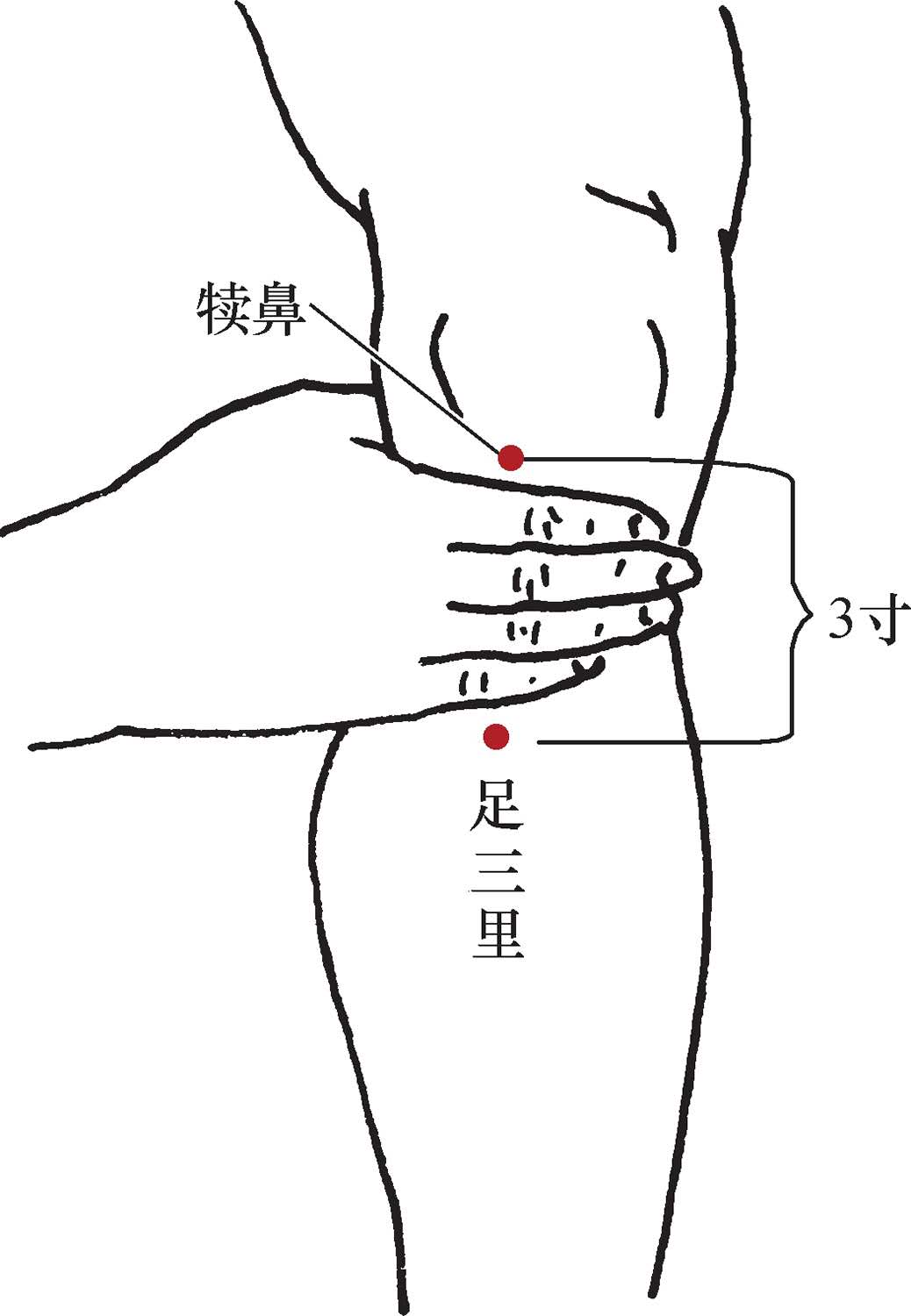 国医大师吕景山对穴,吕景山国医大师主治什么