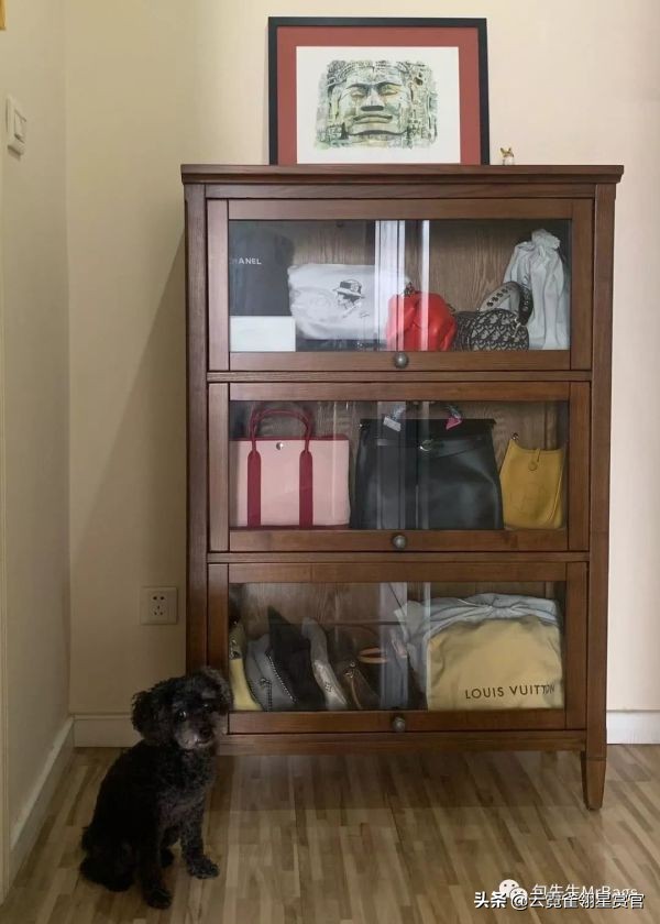 非常好看的宠物包,大家的包都带什么玩偶