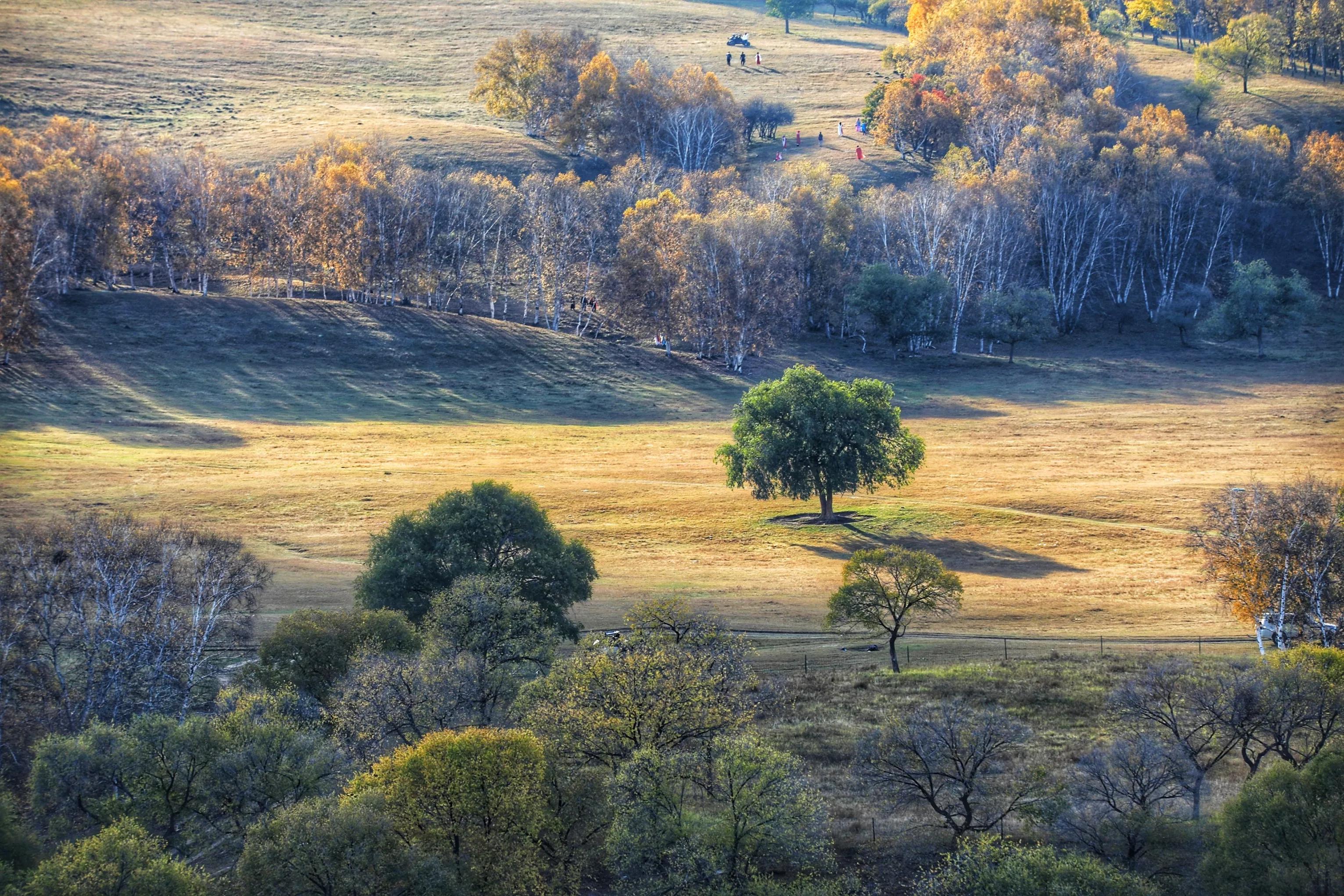 坝上秋色草原,坝上草原游记作文