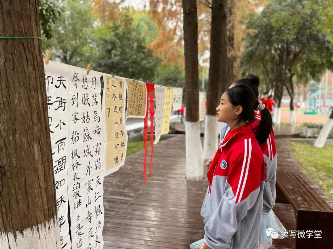 曾都区实验小学开幕式,曾都区实验小学感恩文化节