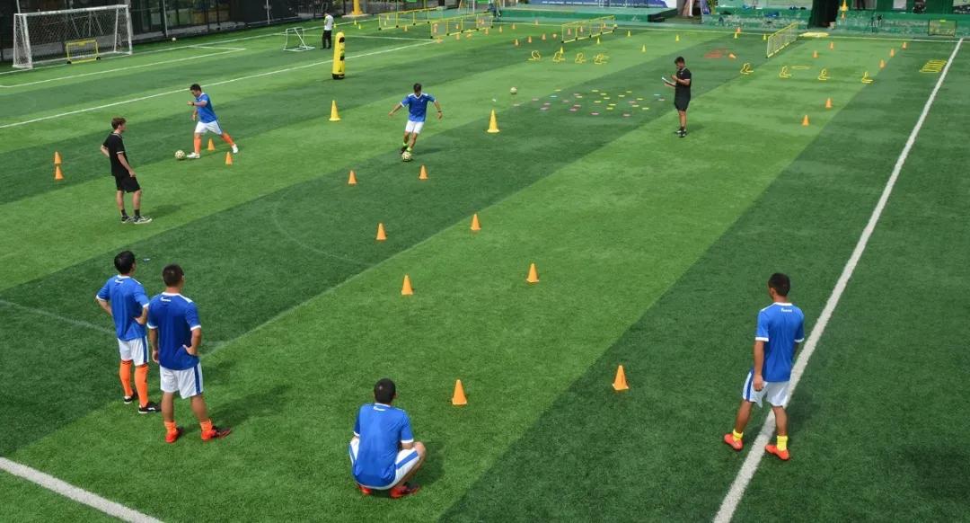 派迪茵体育用品有限公司,派迪茵体育有限公司图片