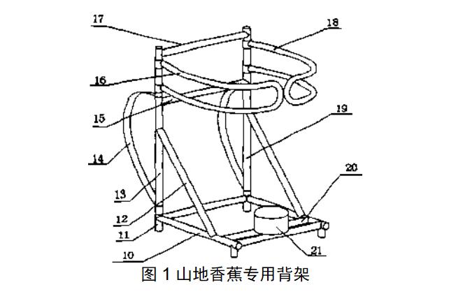 香蕉高产的施肥方法,香蕉种植高产秘诀