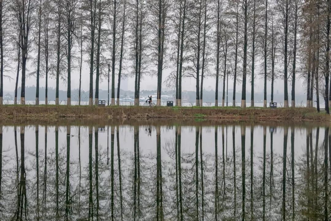 城市地标叫什么来着,东湖地标建筑