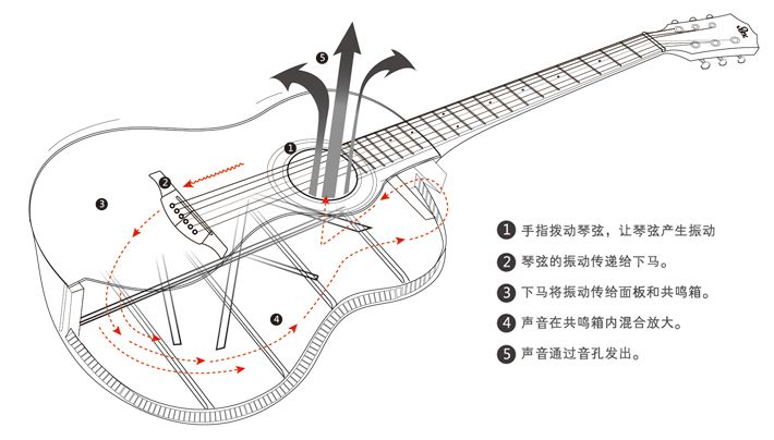 吉他包边对音色有影响吗,吉他背板对音色的影响