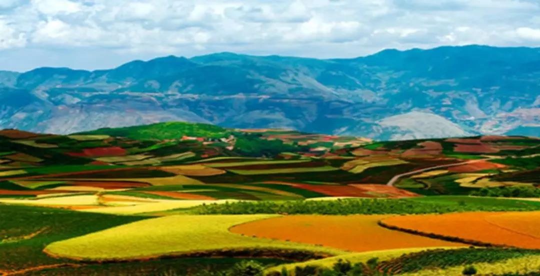 昆明高原的呼唤视频,昆明高原的呼唤