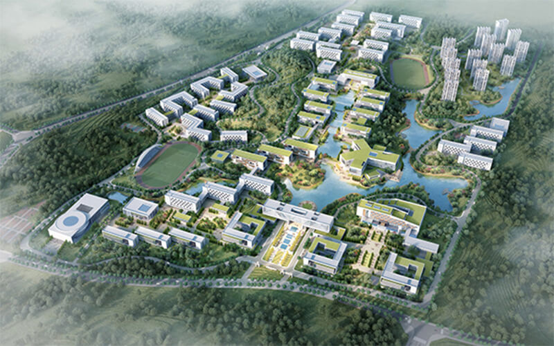 河南民办高校（本科）大起底：野花儿香，能采不？