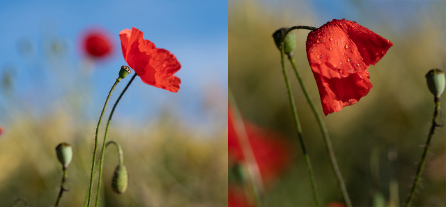 宾得18-55镜头评测,宾得85mmf1.8手动镜头
