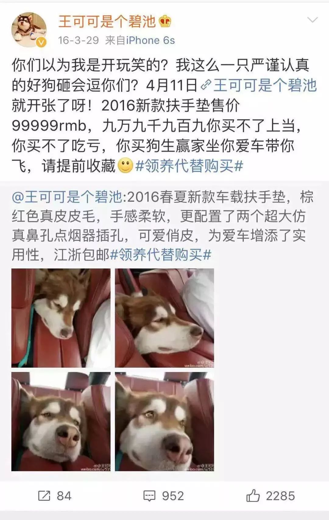 宠物经济剖析,宠物经济如何赚钱