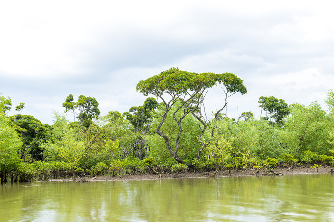 在这个阳光明媚的春季,在这个阳光灿烂的日子里