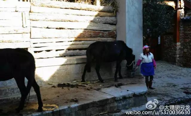玉龙雪山附近原始村落,玉龙雪山下的村叫什么