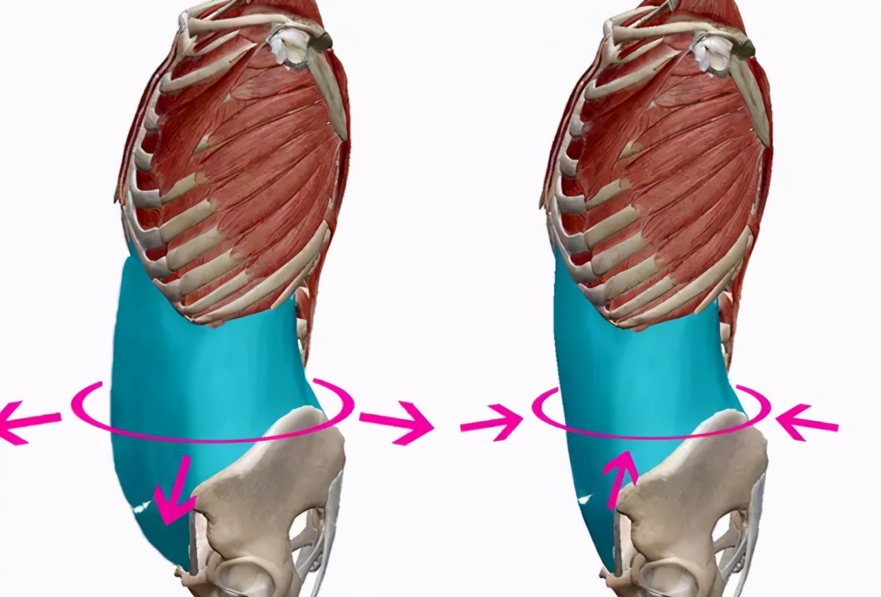 卷腹收腹瘦腰动作加长版,瘦肚子腰上赘肉最有效的方法卷腹