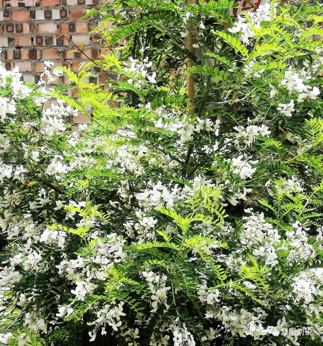 瓒ｈ鏋楀啿,瓒ｈ娑炴簮