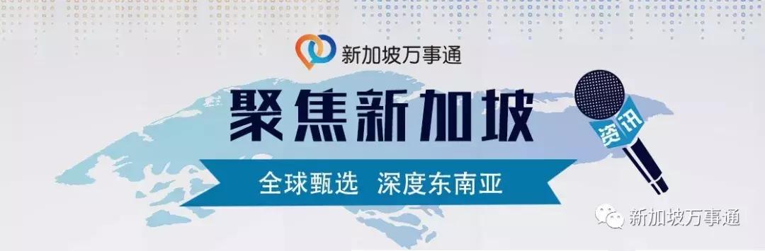 新加坡伊蚊事件,新加坡伊蚊病