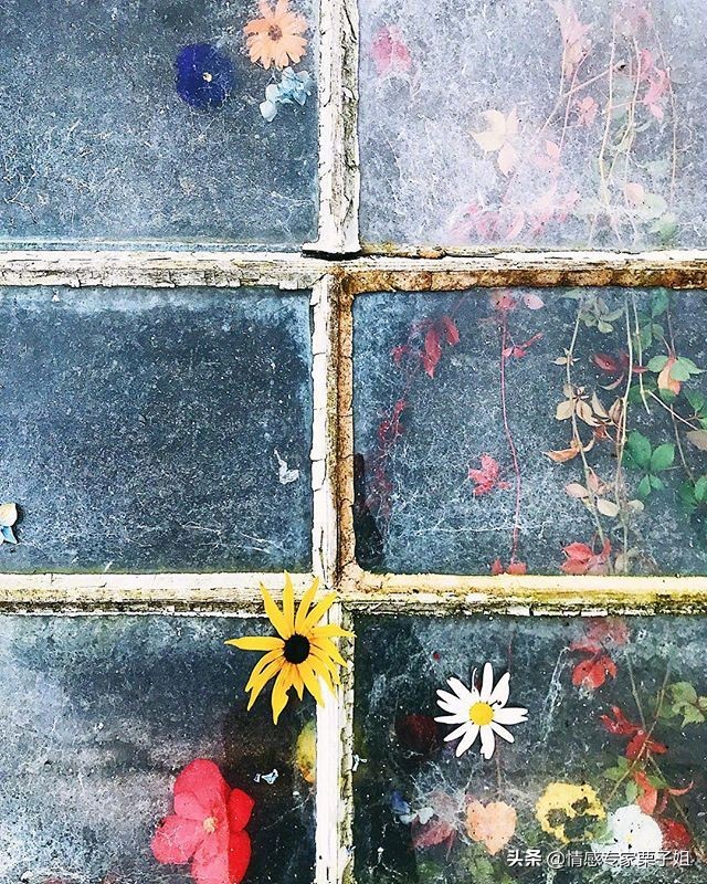 情感咨询|栗子姐每日情感问答(0919)