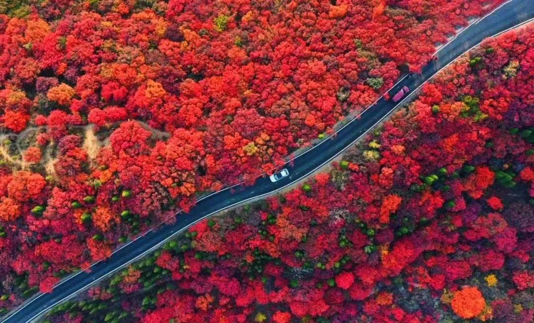 打造地方特色文旅项目,重磅打造的文旅项目