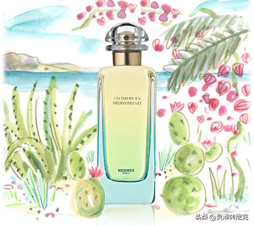 男士香水清淡好闻平价,男士香水干净便宜