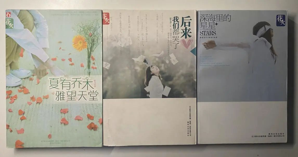 那些年我们看过的玛丽苏小说,那些不堪回首的玛丽苏小说