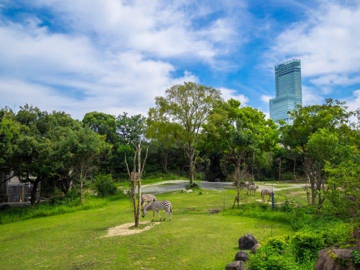 大阪心斋桥恢复繁华,日本大阪心斋桥的黄金地段