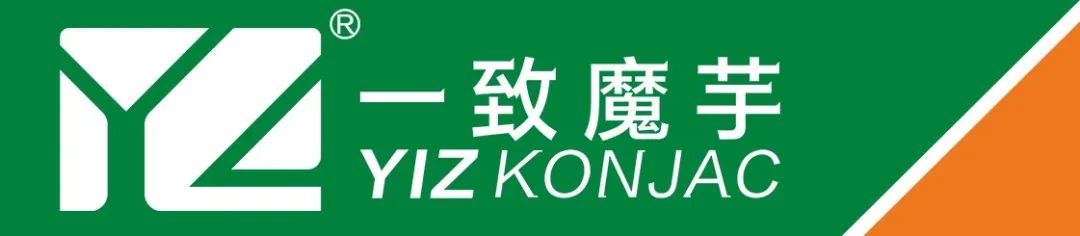 正宗的魔芋粉是什么样子的,魔芋粉正宗