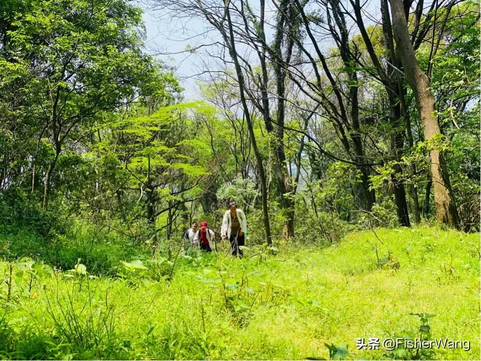 中毒or中暑，36度高温带两女生徒步，中道而退之登云-恩顶水库。