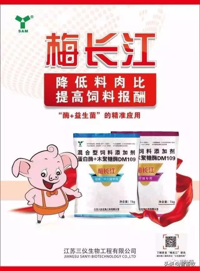 母猪的输精方法及操作要点,母猪的输精准备