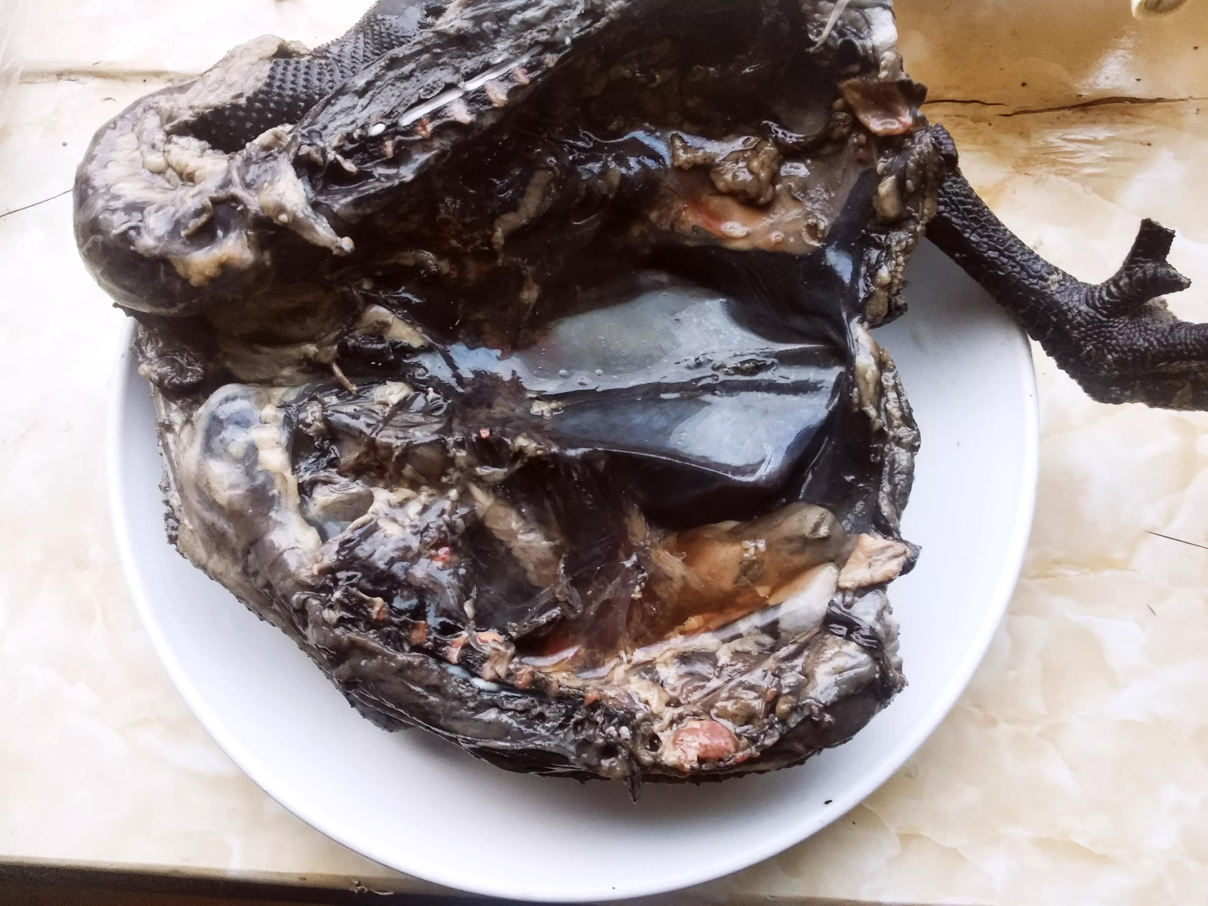 杀鸡肚子里面那块黄油有什么好处,杀鸡肚子的黄油怎么吃