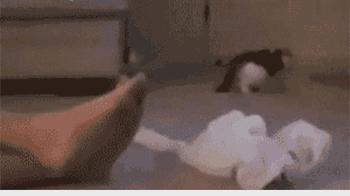 从小就觉得面包树上结的是“面包”？你只差一个亲眼看看的机会