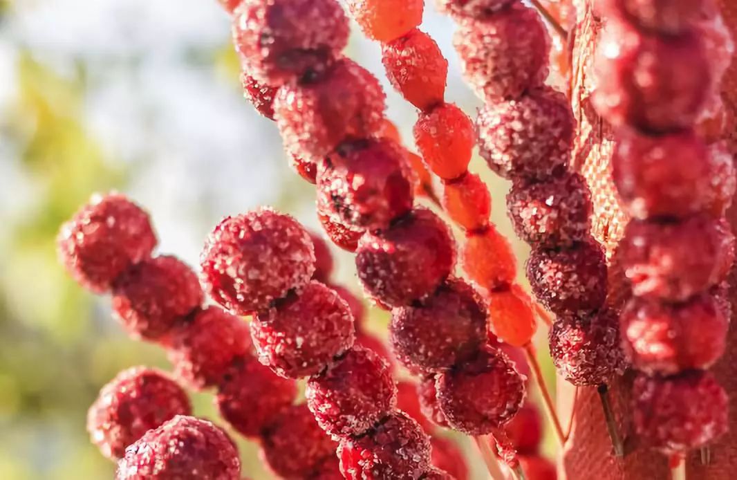 老北京胡同里探秘,探访老北京胡同有意外发现