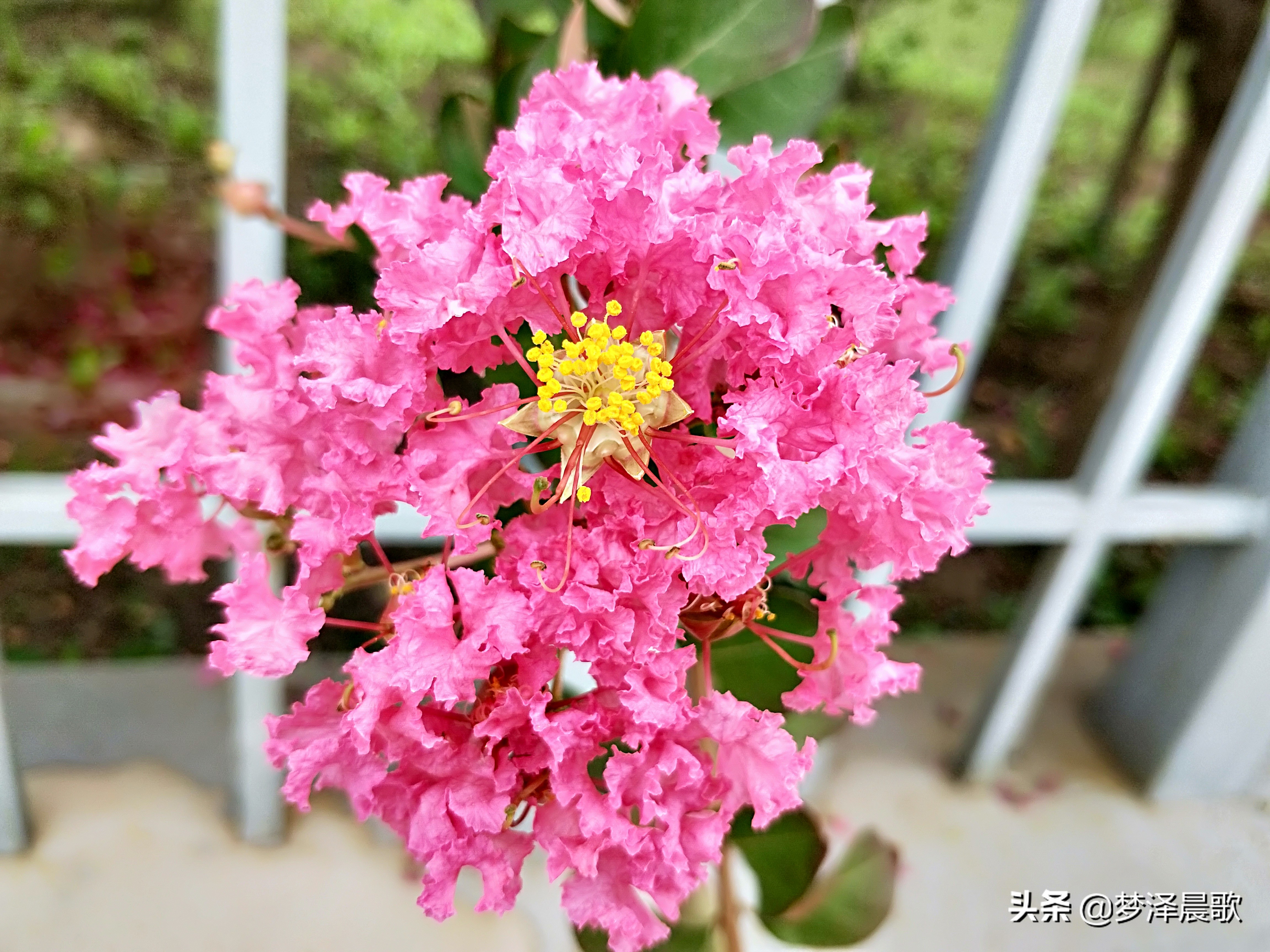 云梦县黄香小学好吗,云梦县黄香小学全貌图