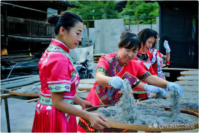 湖南永顺土家莓茶的功效与作用,张家界高档旅游特产土家莓茶
