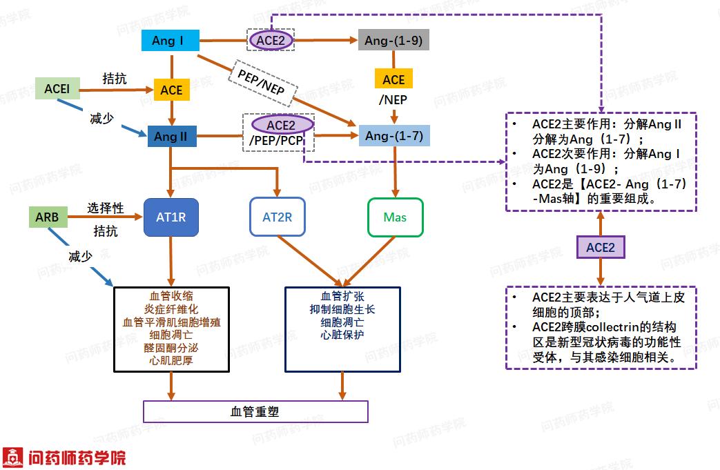 高血压感染新型冠状病毒吃什么药,高血压病人感染新冠还吃降压药吗