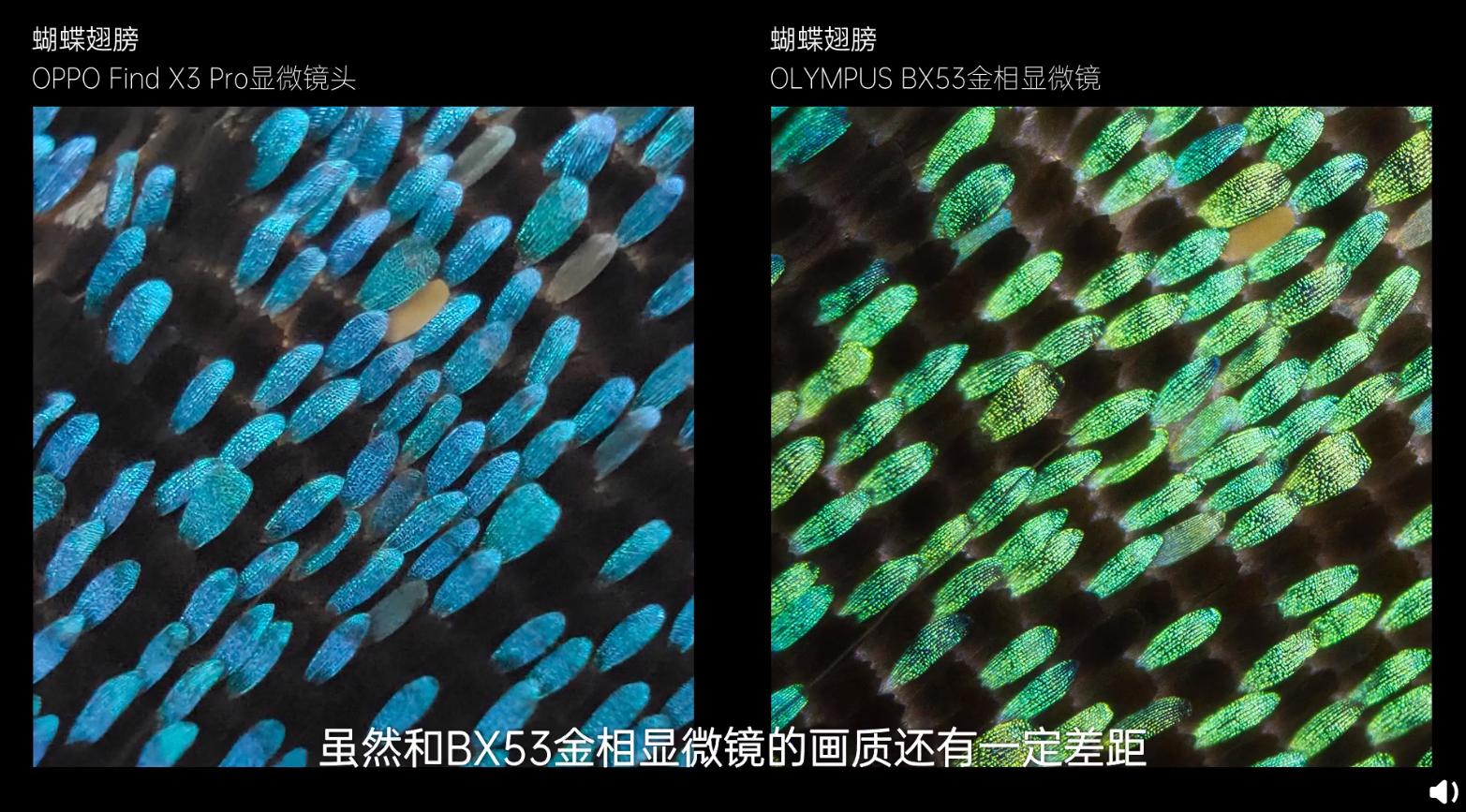 oppofindx3显微镜,findx3显微镜有什么实际用处