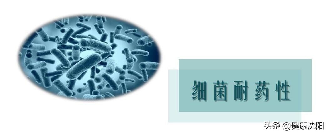 药品合理用药科普知识讲座,家庭健康合理用药话题