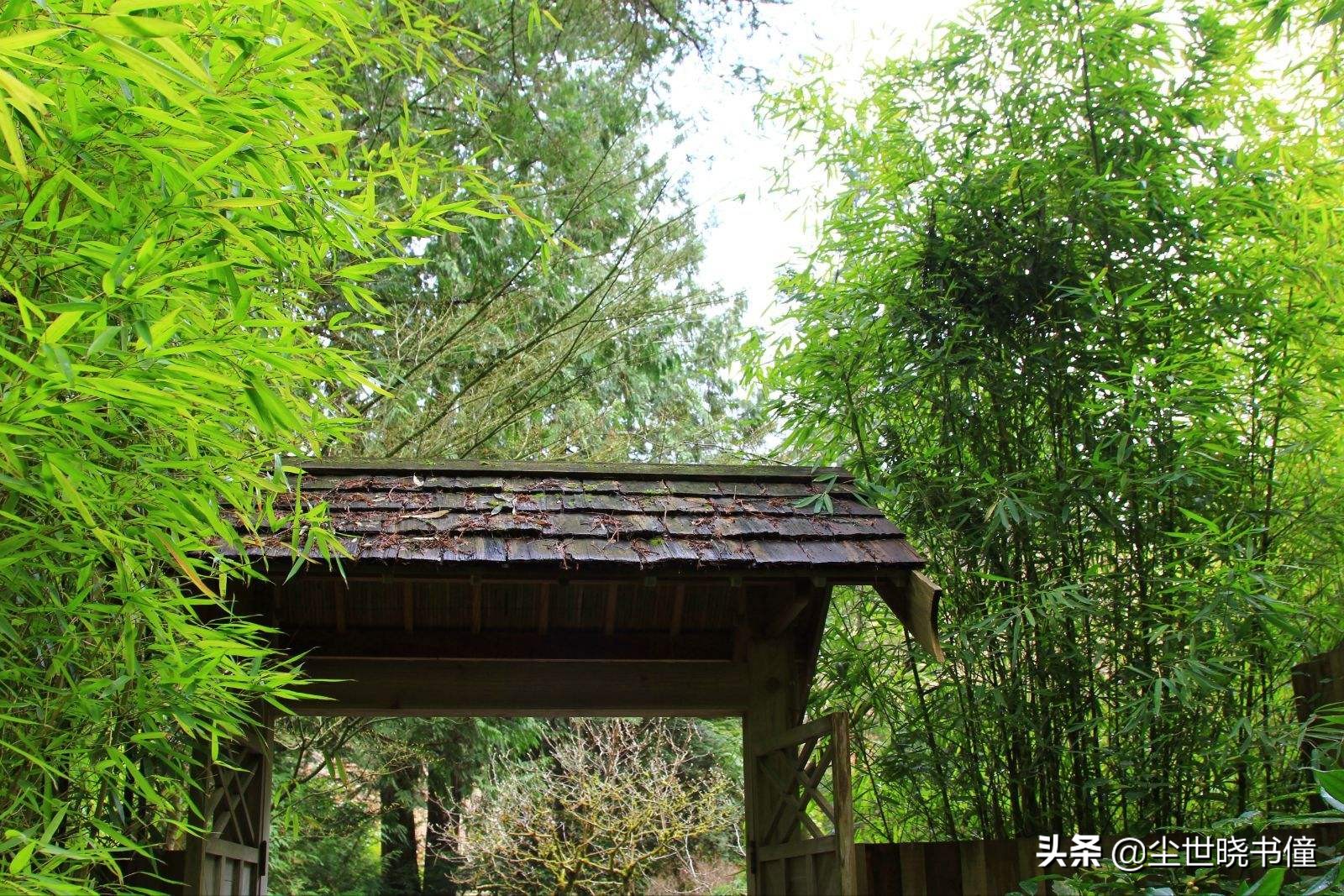 刘禹锡关于人生态度的诗句,刘禹锡人生不如意时的一首诗