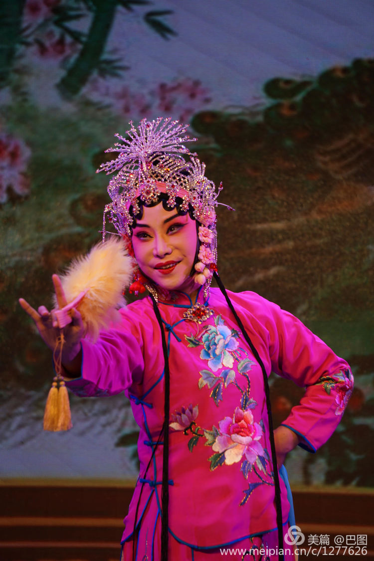 曲剧花为媒经典唱段全场,曲剧花为媒报花名完整唱段