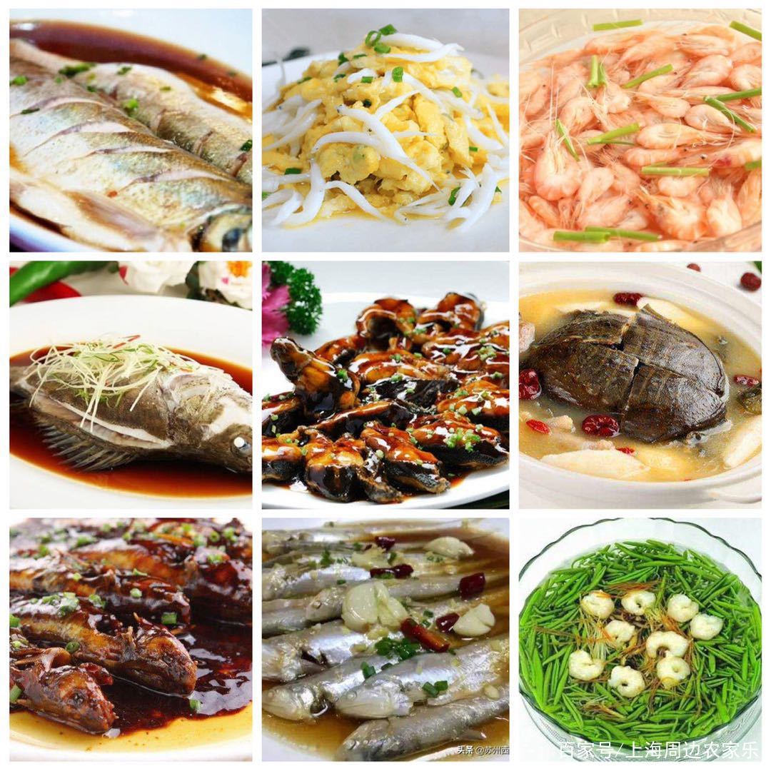 苏州旅游攻略元旦适合去吗,元旦旅游推荐苏州周边景点