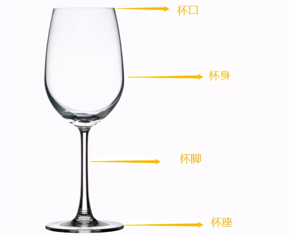 葡萄酒杯怎么拿,葡萄酒杯怎么选购