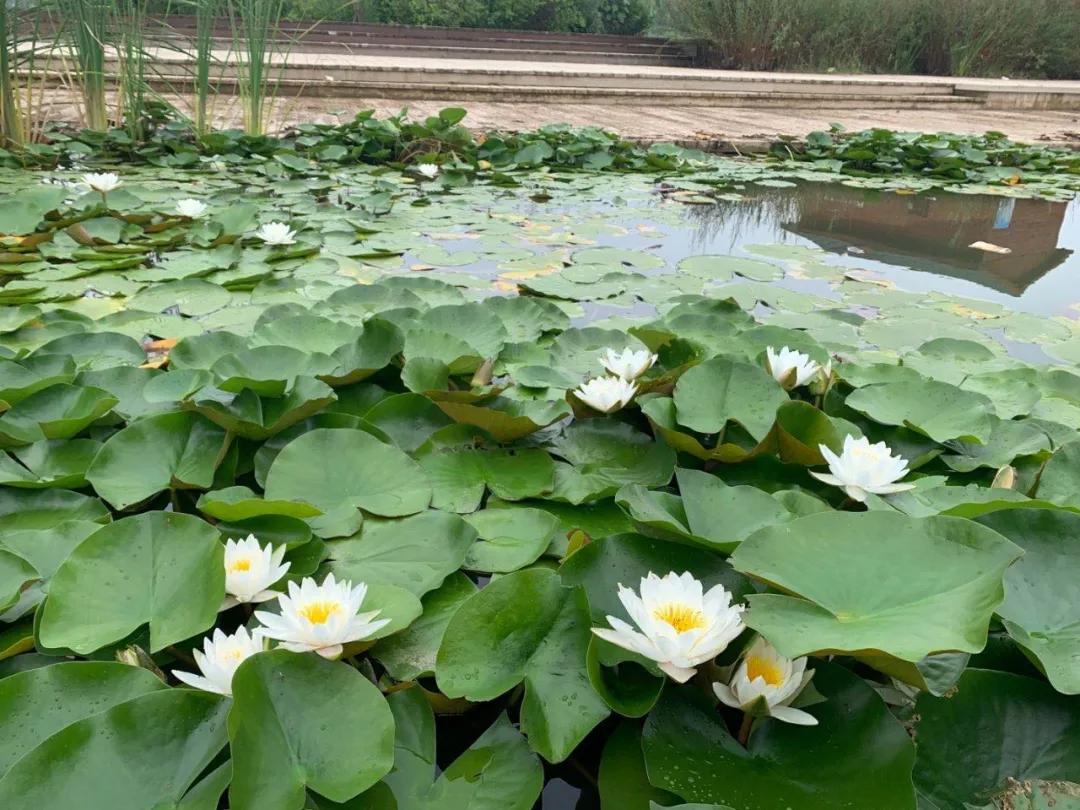 淄博慢城旅游攻略,淄博慢城