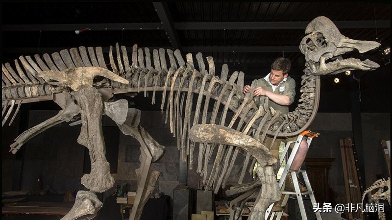 史前恐龙灭绝,恐龙时期恐龙是怎么灭绝的