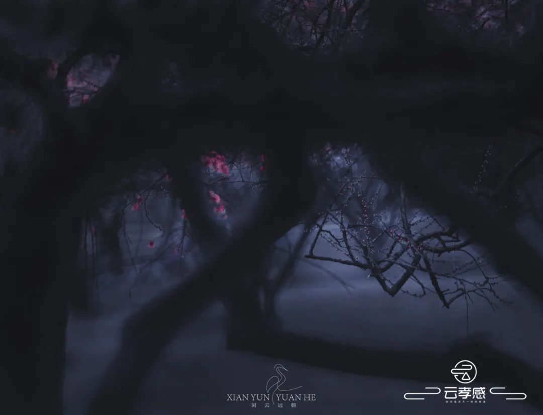 李鸿飞摄影作品初春,李鸿飞画家