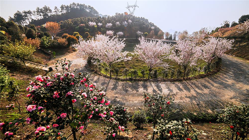 四川旅游踩坑的地方,贵州旅游踩坑