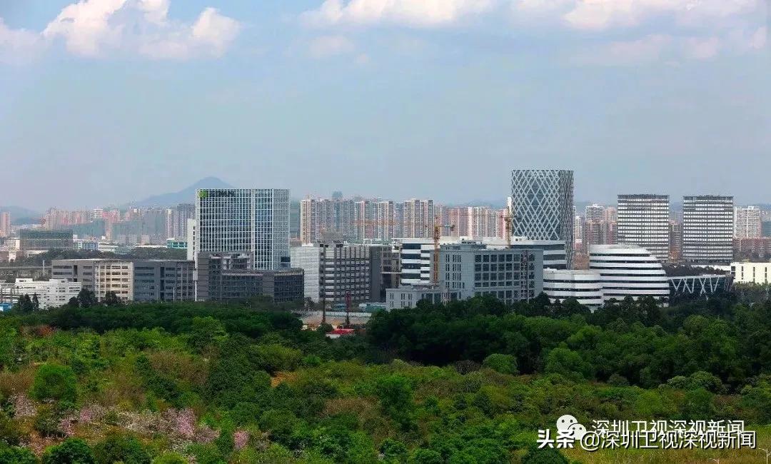 深圳医学科学院招生计划,深圳坪山医学科学院最新消息