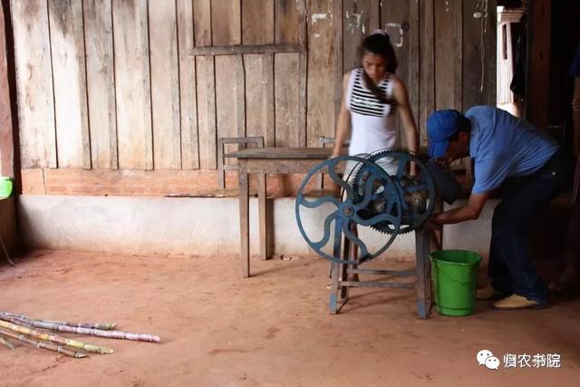 中国年年进口的大豆，为何让巴拉圭从富饶变得死寂？